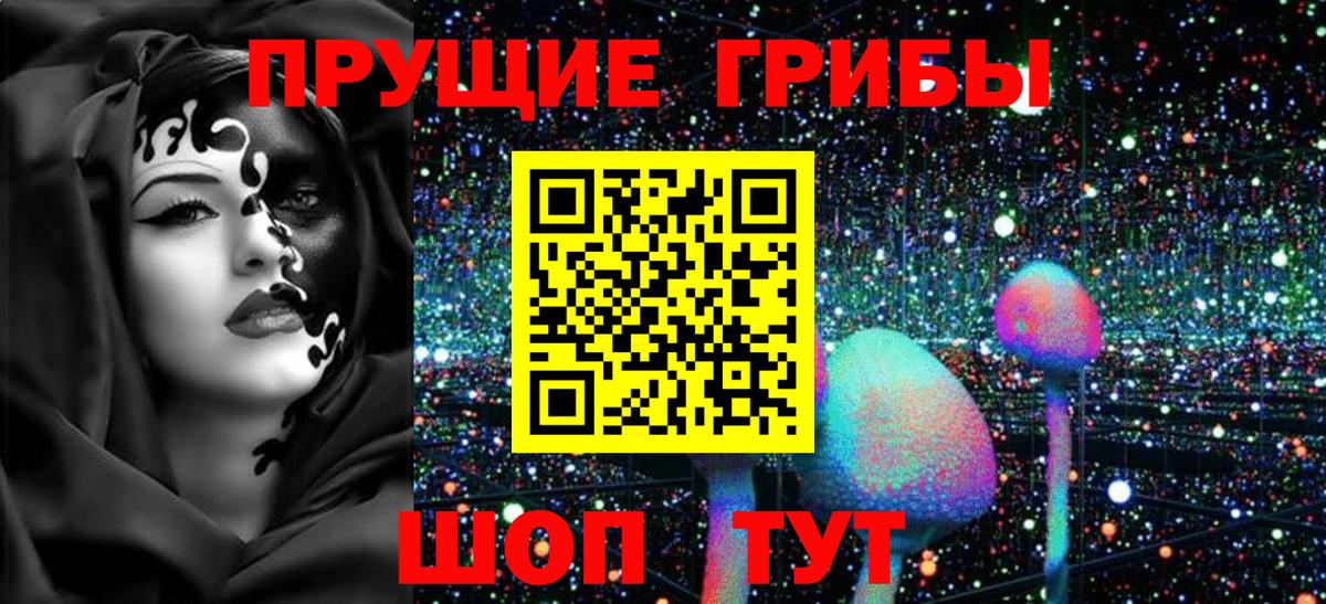 Железноводск  Псилоцибиновые грибы прущие грибы  Вход с VPN 